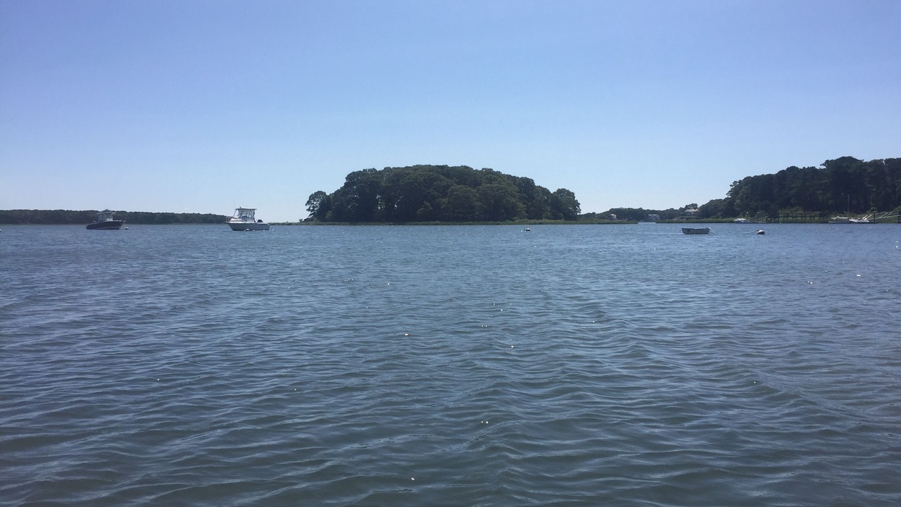 Photo of Others in Mashpee Neck