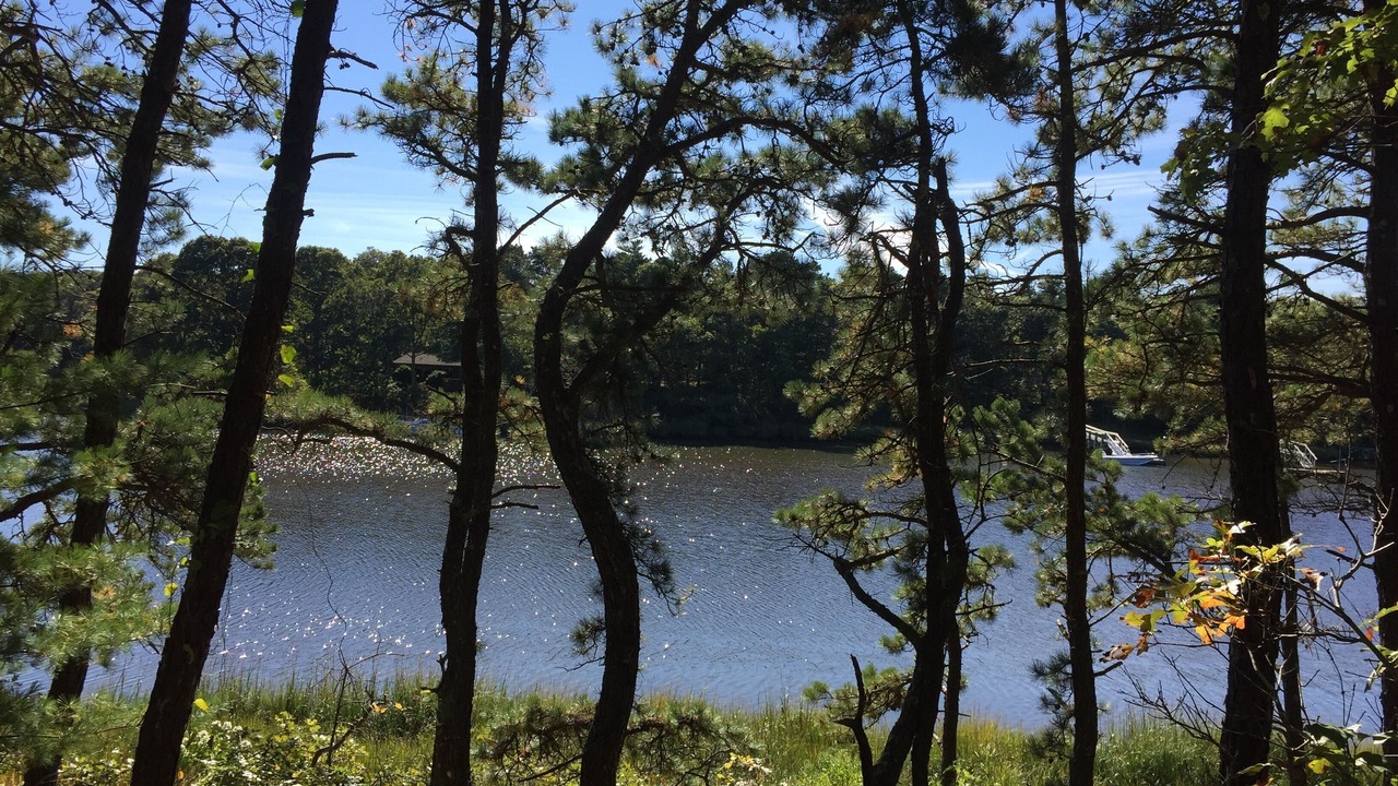 Photo of Others in Mashpee Neck