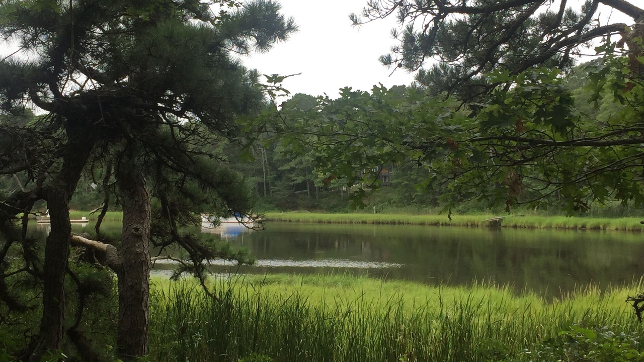 Photo of Others in Mashpee Neck