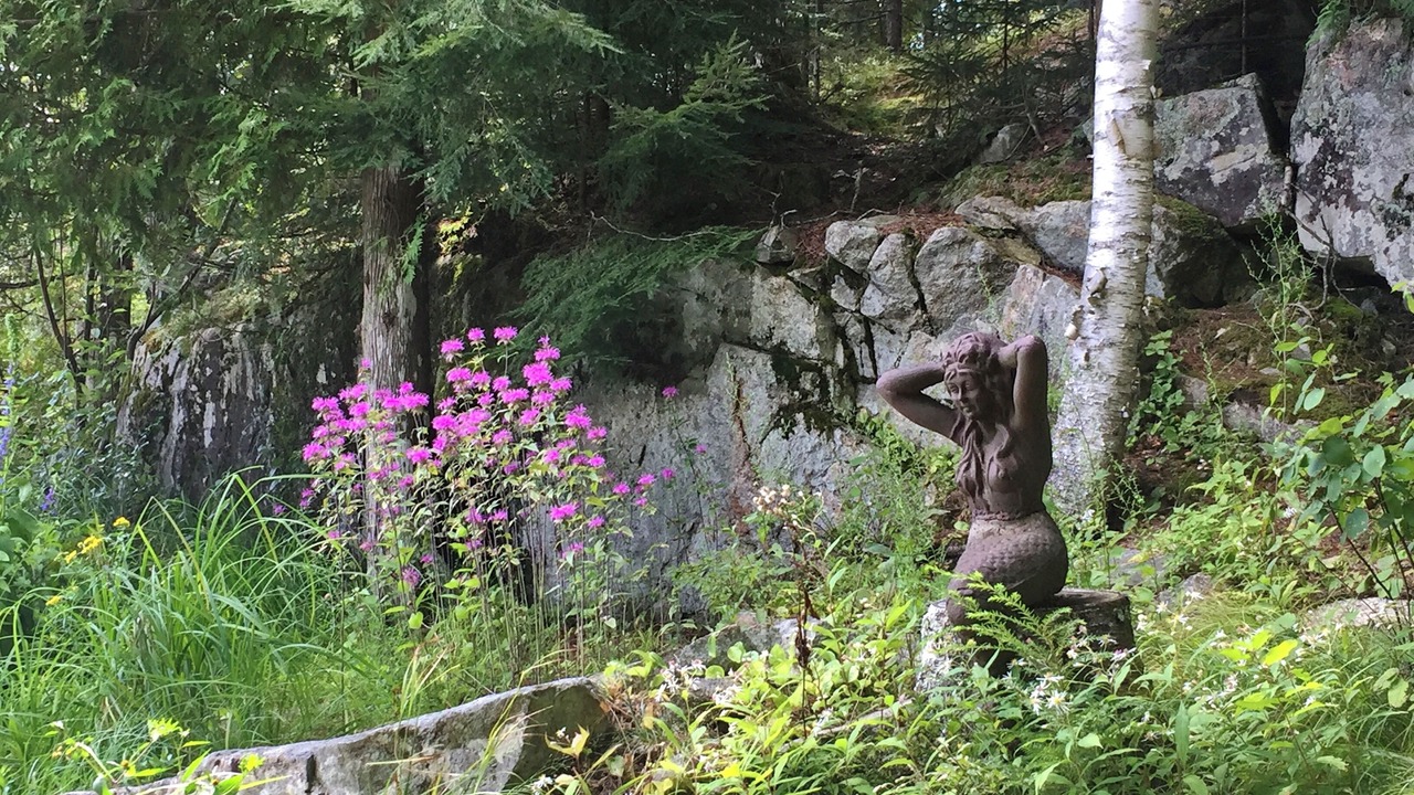 Photo of Outdoor in Saranac Lake