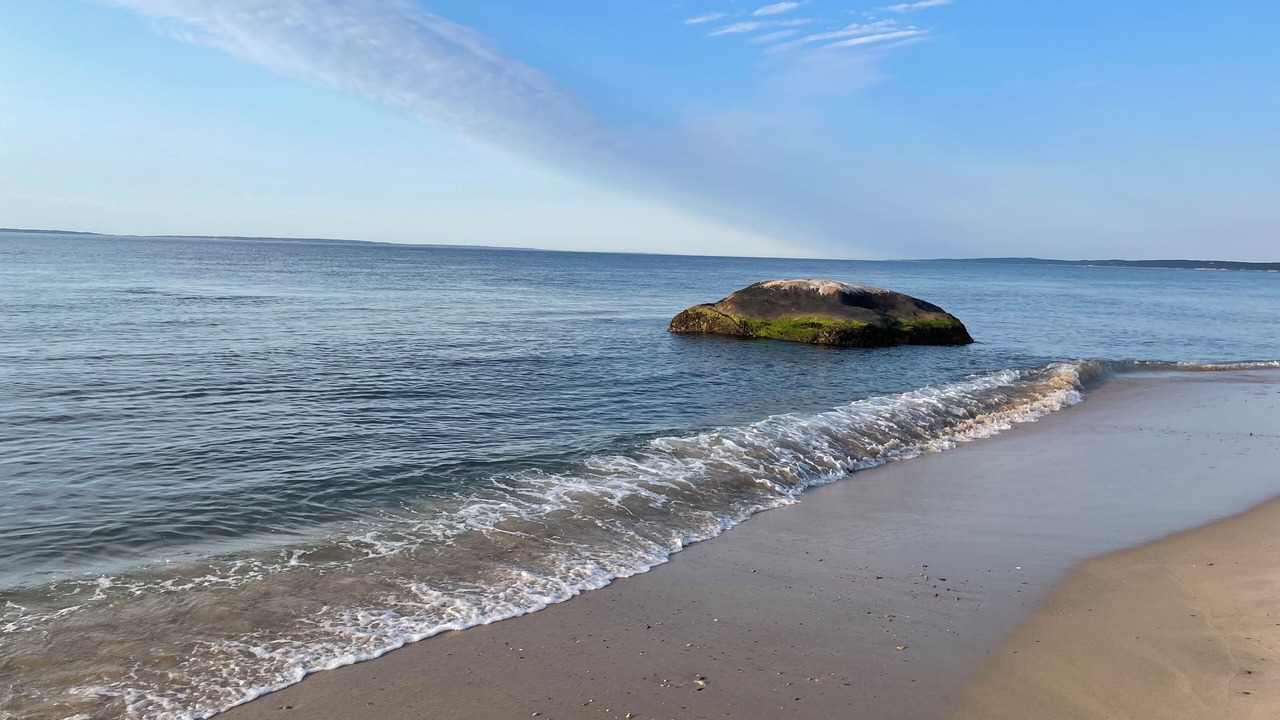 Photo of Others in Aquinnah