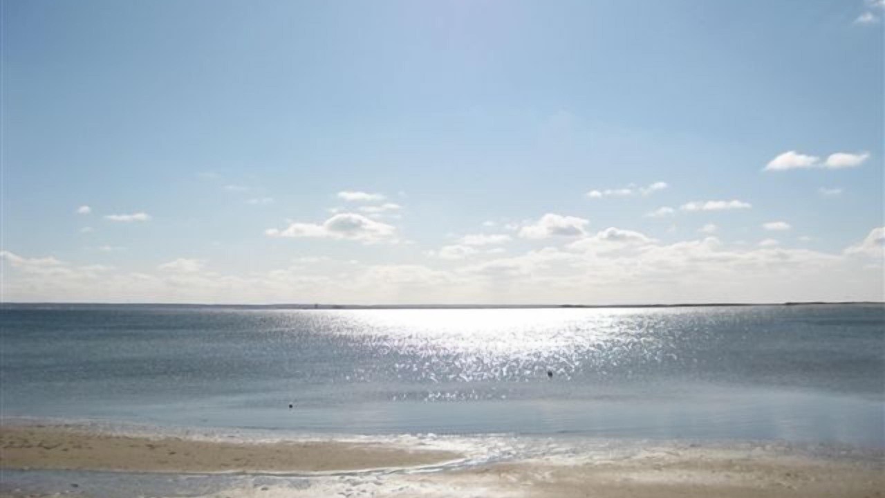 Photo of Others in Provincetown