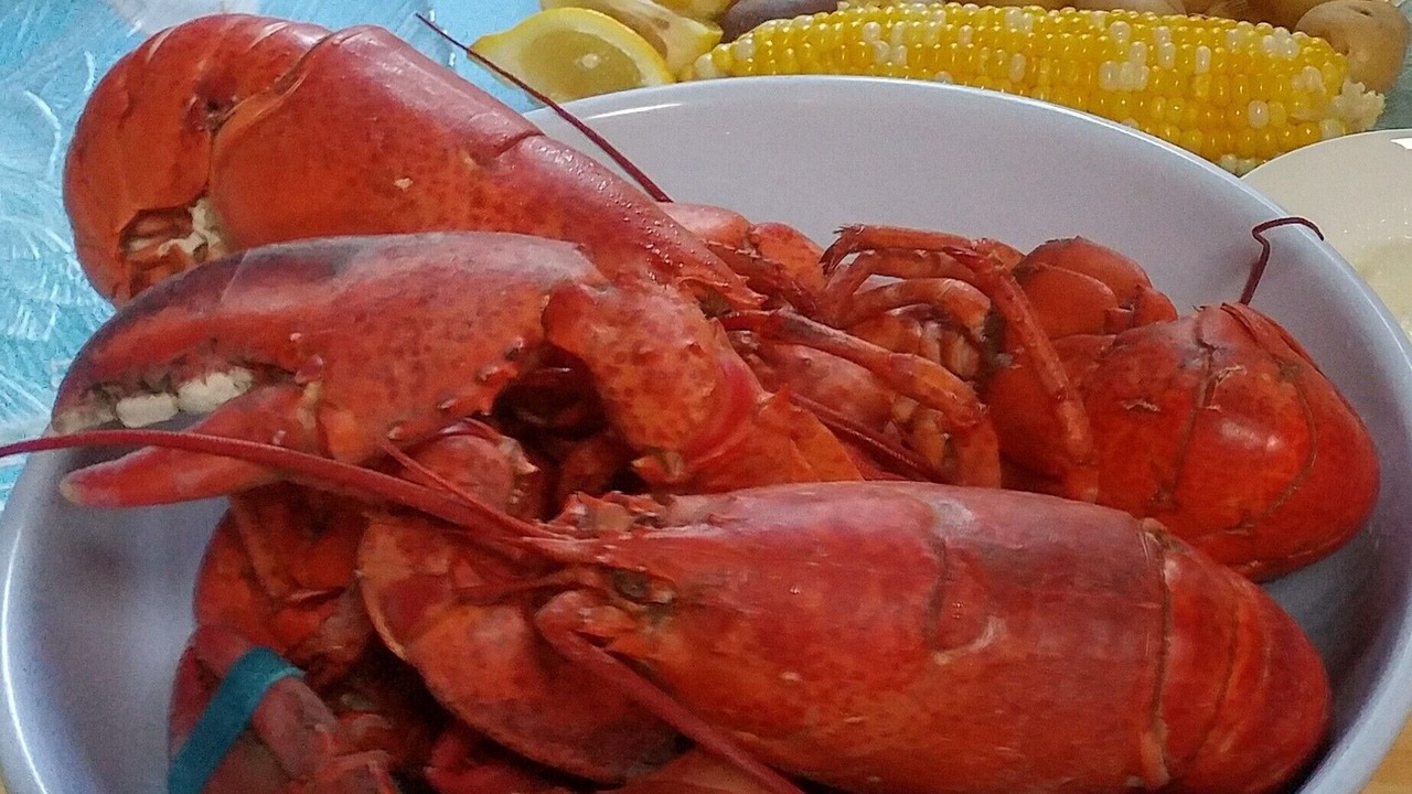 Photo of Others in West Chatham