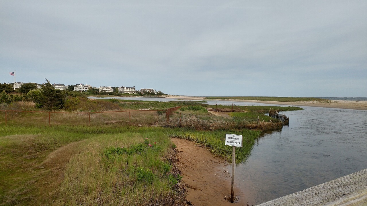 Photo of Others in West Chatham