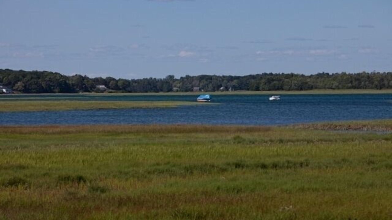 Photo of Others in Pine Point
