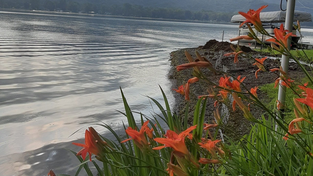 Photo of Outdoor in Honeoye
