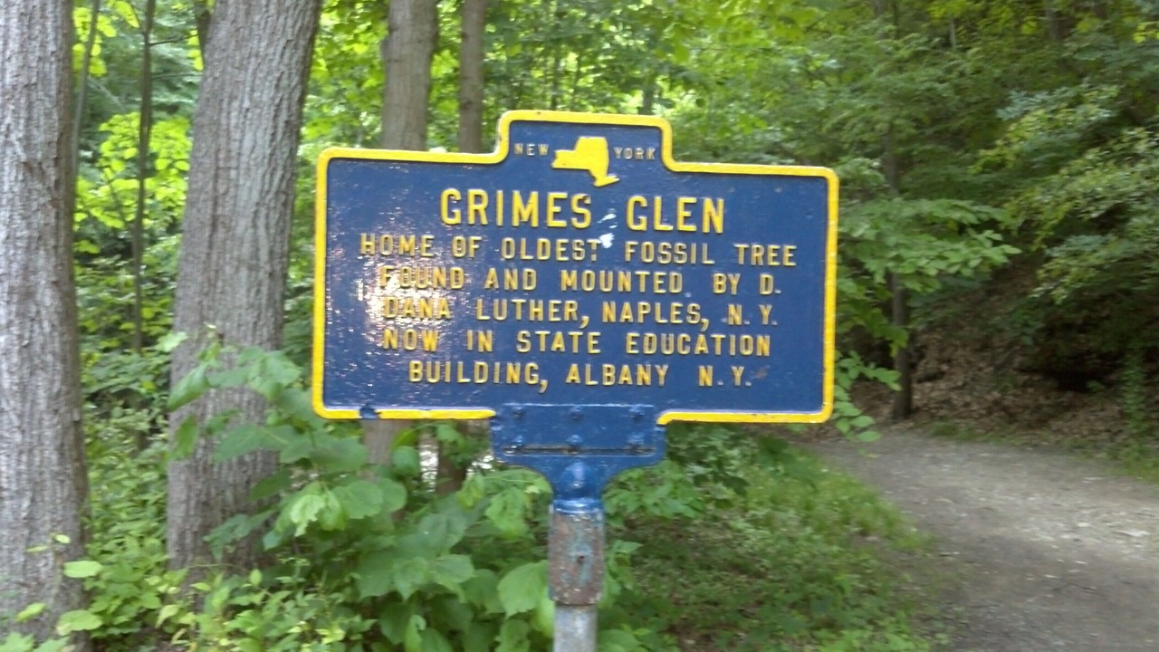 Photo of Others in Honeoye