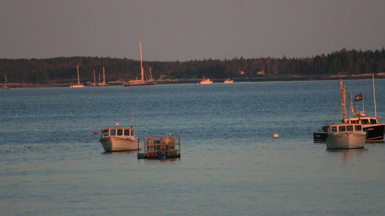 Photo of Others in Owls Head