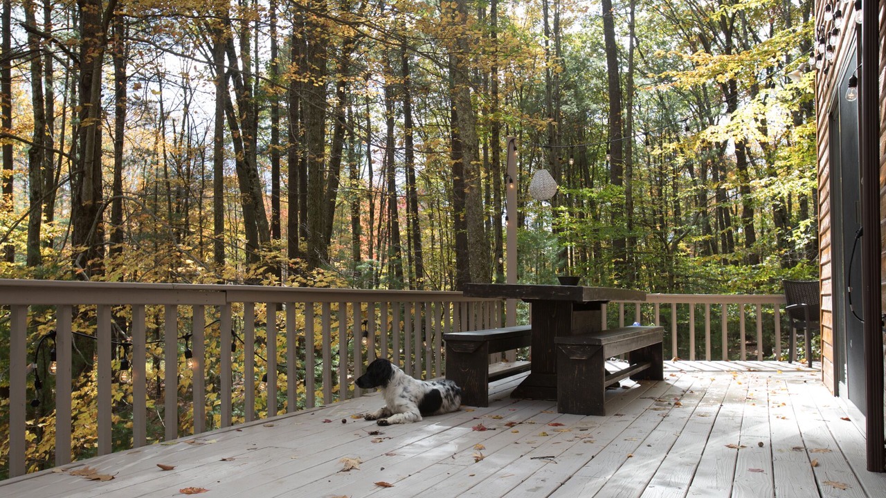 Photo of Outdoor in Willow