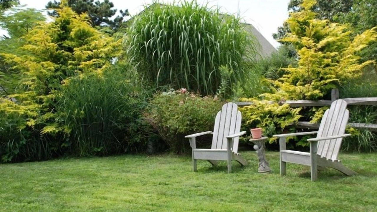 Photo of Outdoor in Katama
