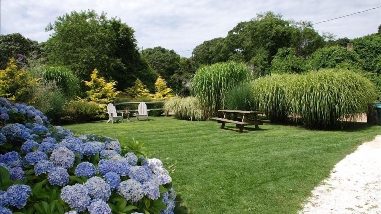 Photo of Outdoor in Katama