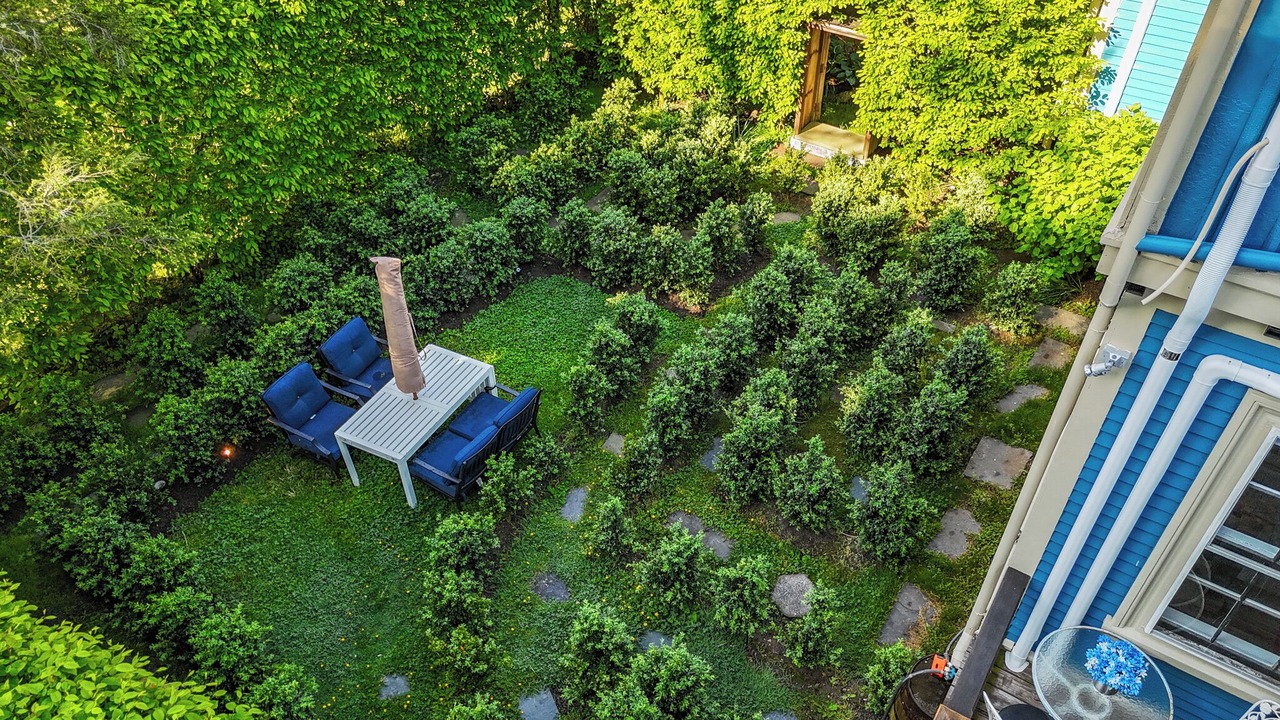 Photo of Outdoor in Top of the Hill