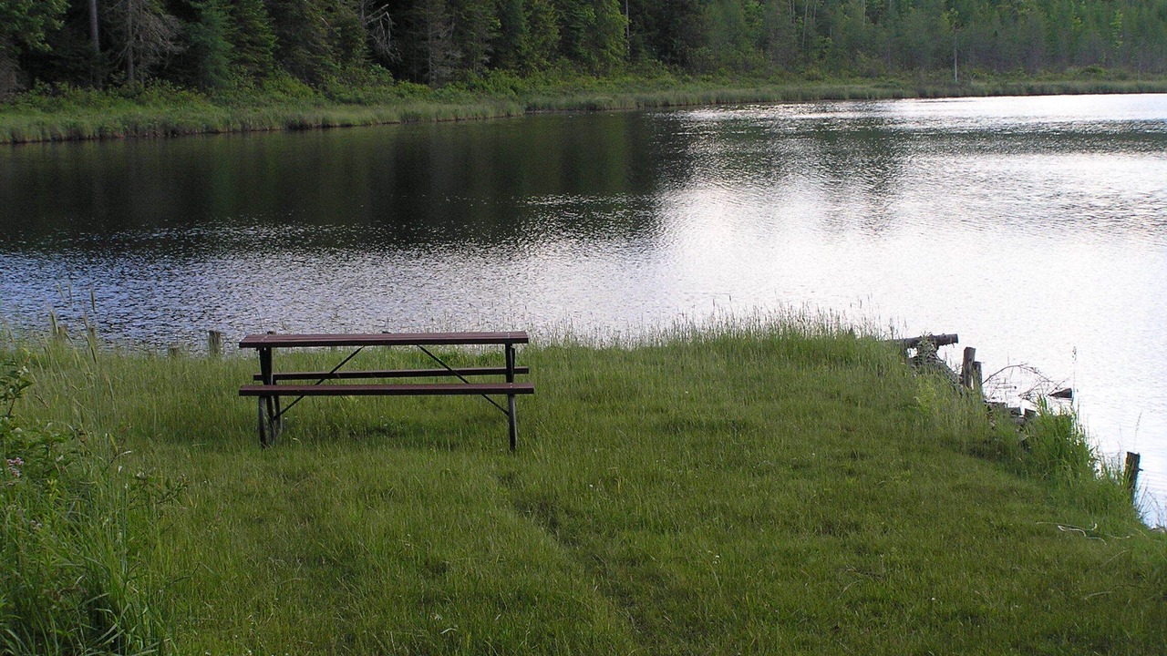 Photo of Others in Brookfield