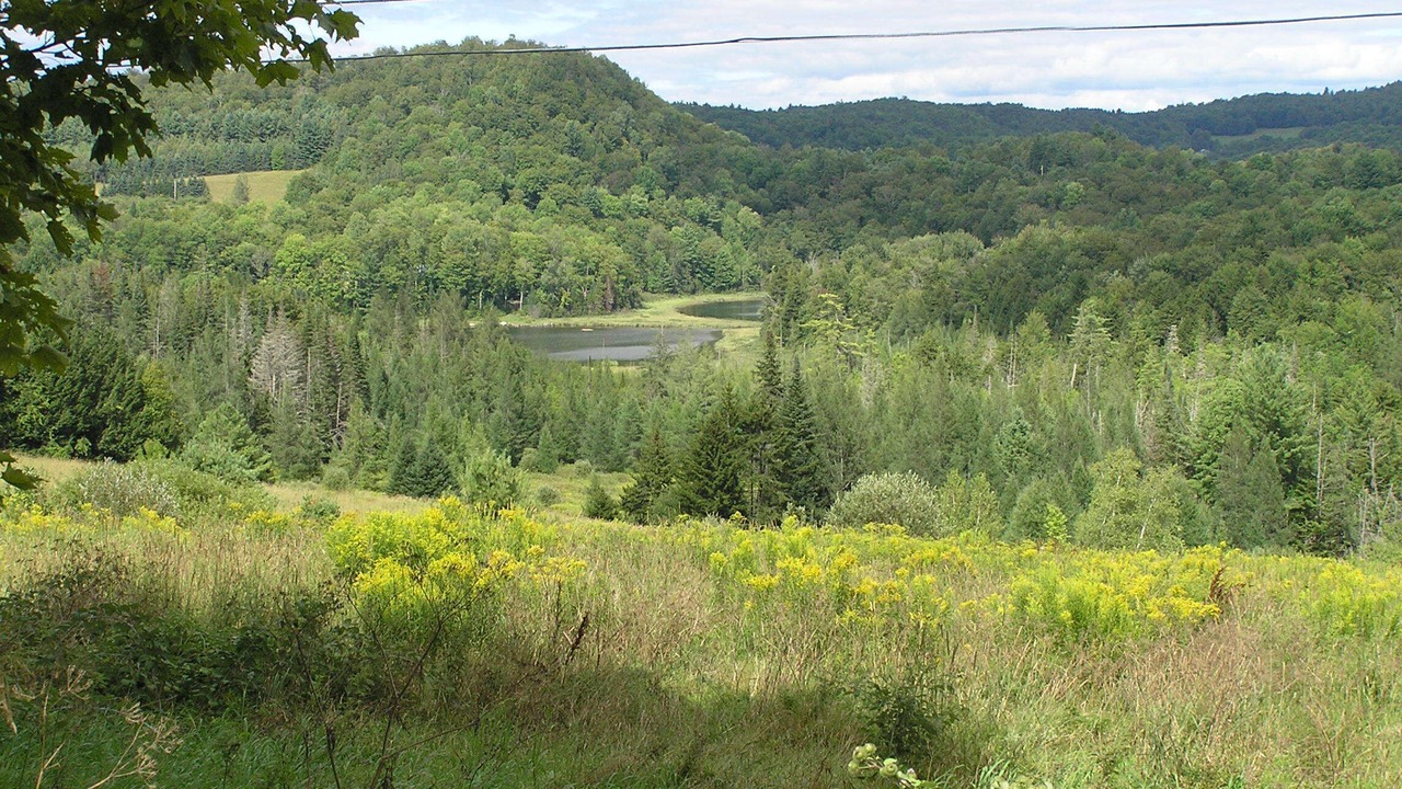 Photo of Others in Brookfield