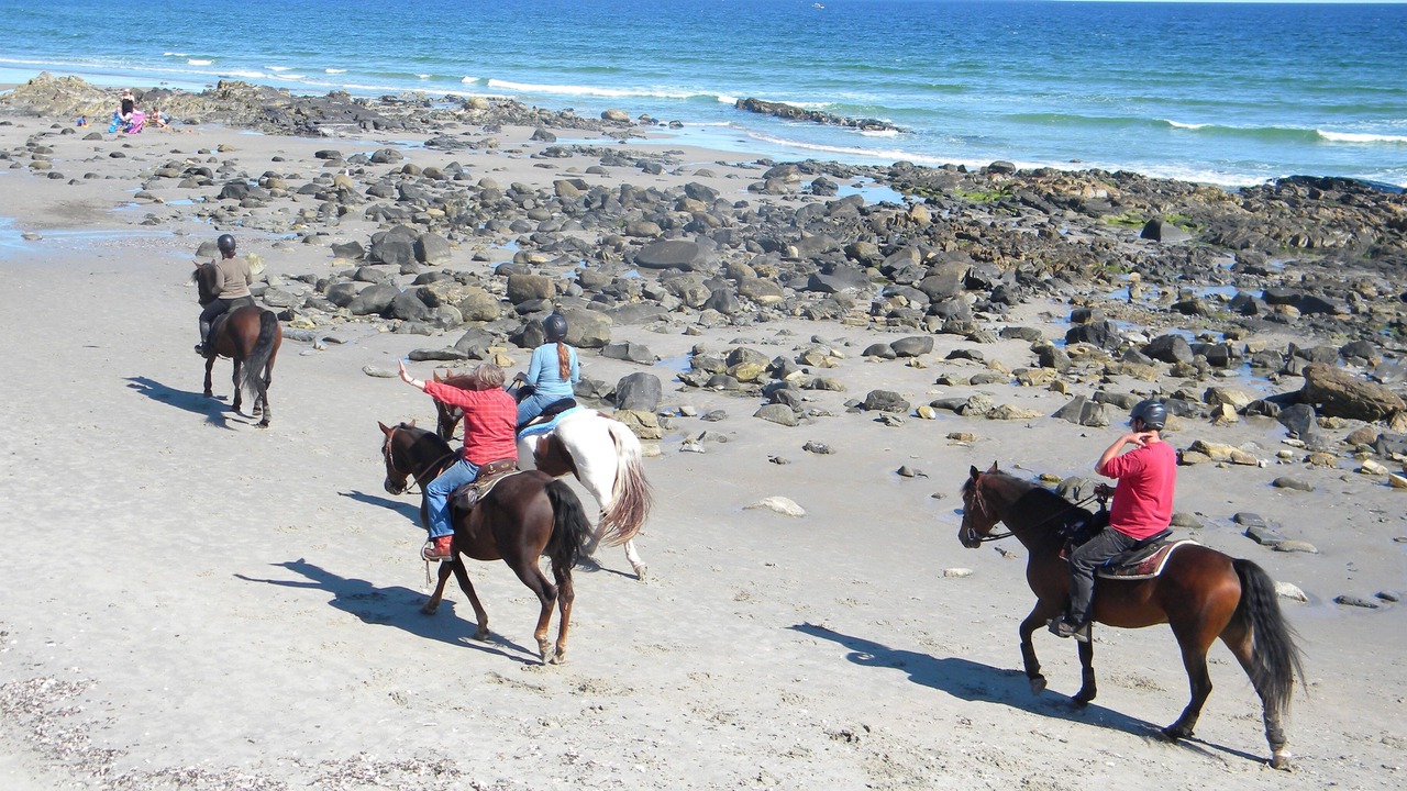Photo of Others in Wells Beach