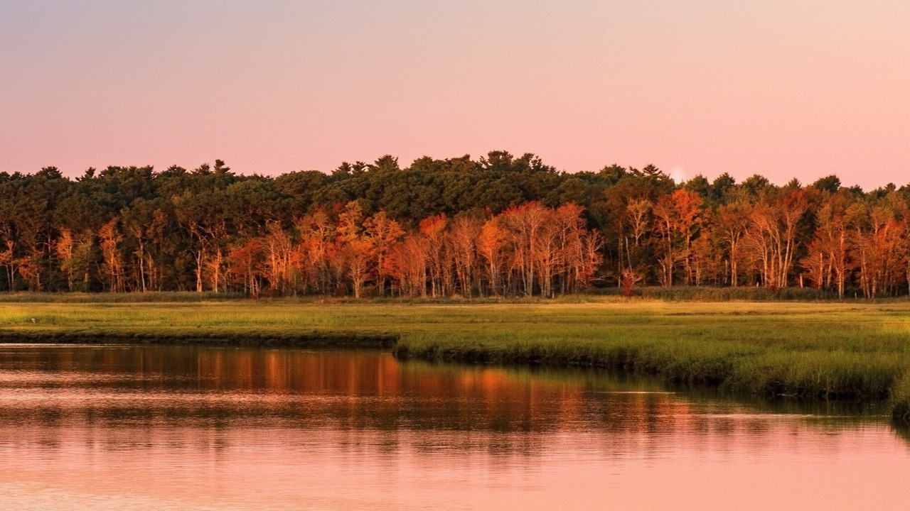 Photo of Outdoor in Wells Beach