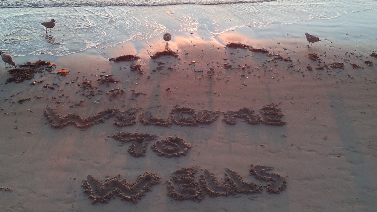 Photo of Others in Wells Beach