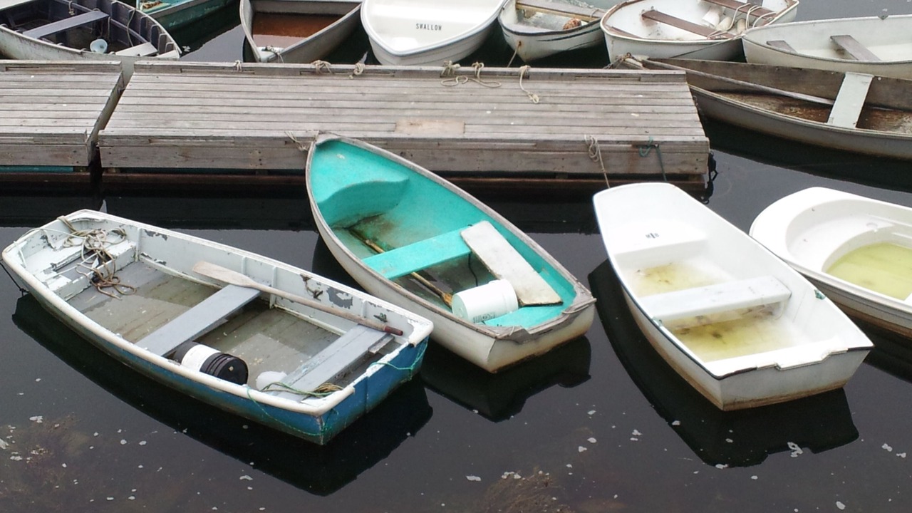Photo of Others in Wells Beach