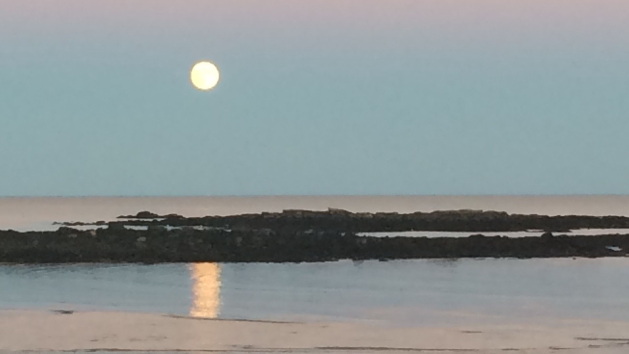 Photo of Others in Wells Beach