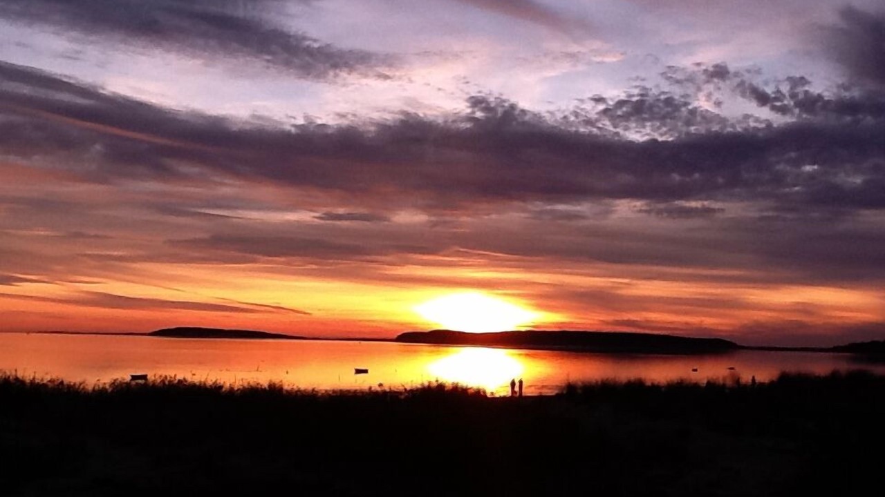 Photo of Others in Wellfleet