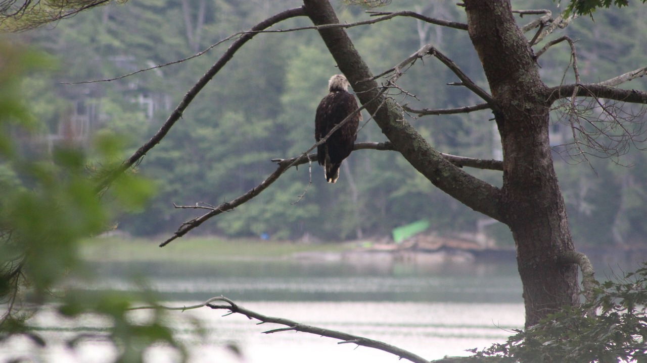 Photo of Others in Freeport
