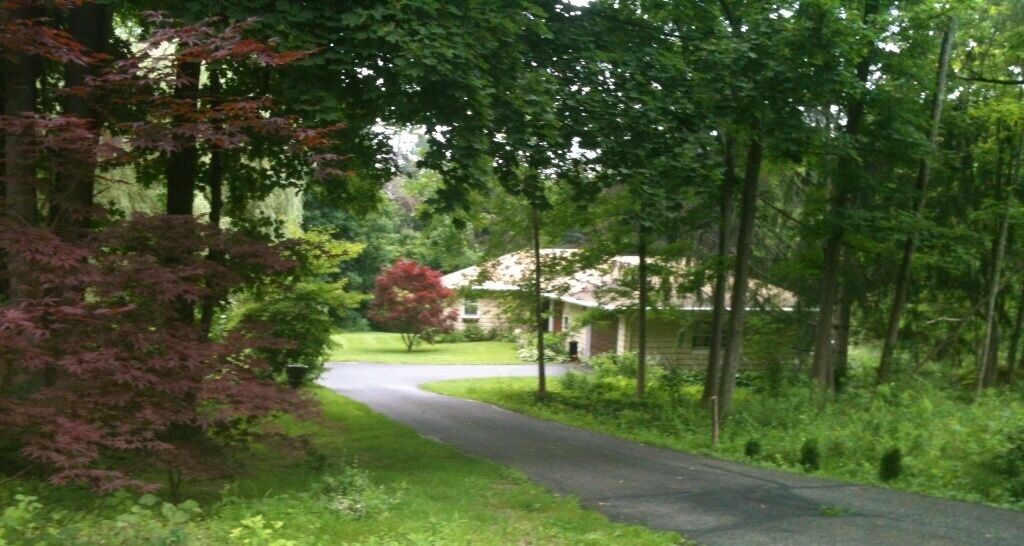 Photo of Others in Lenox