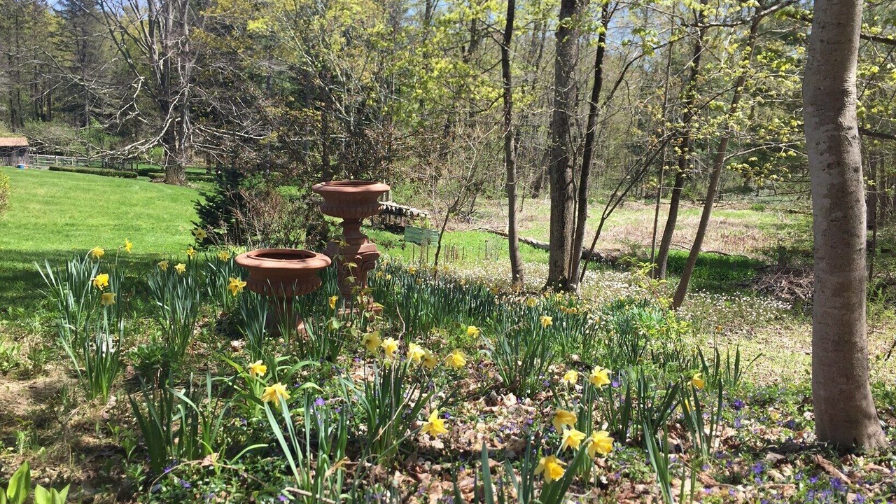 Photo of Outdoor in Lenox