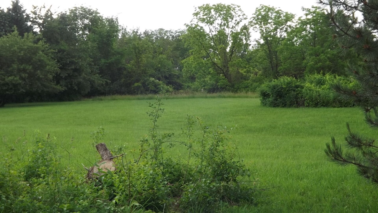 Photo of Outdoor in Town of Torrey