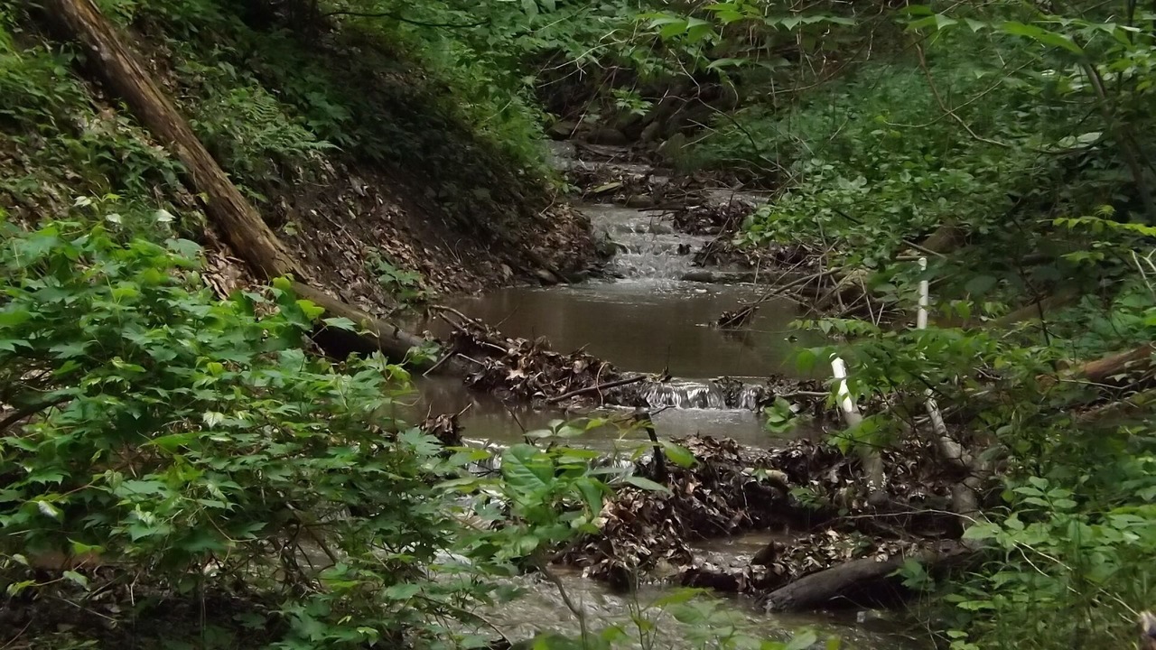 Photo of Outdoor in Town of Torrey