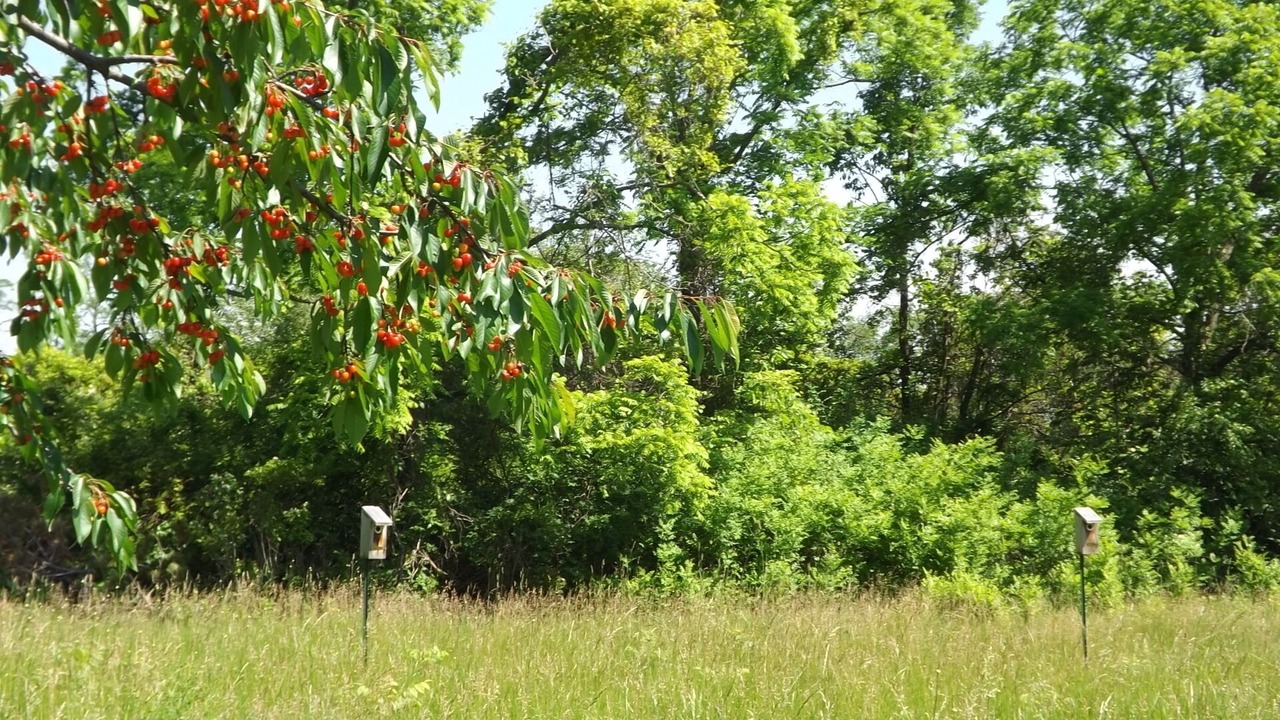 Photo of Outdoor in Town of Torrey