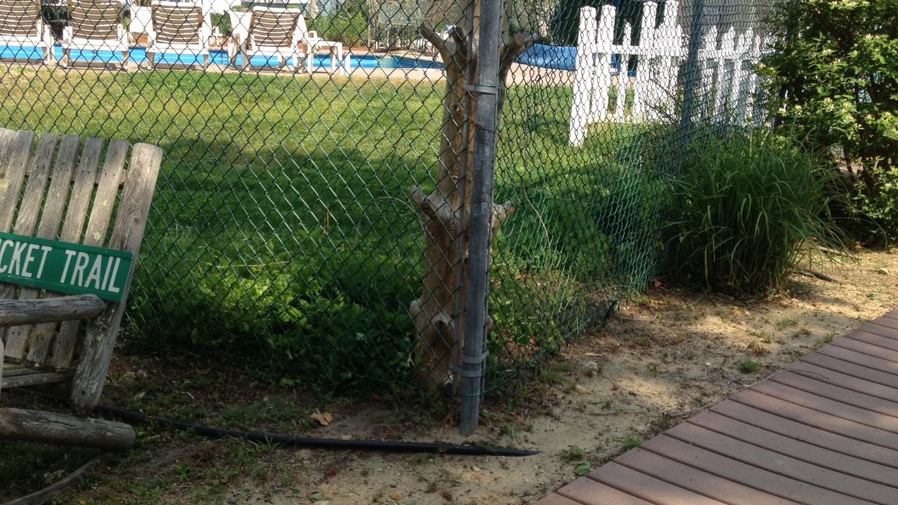 Photo of Outdoor in Bass River