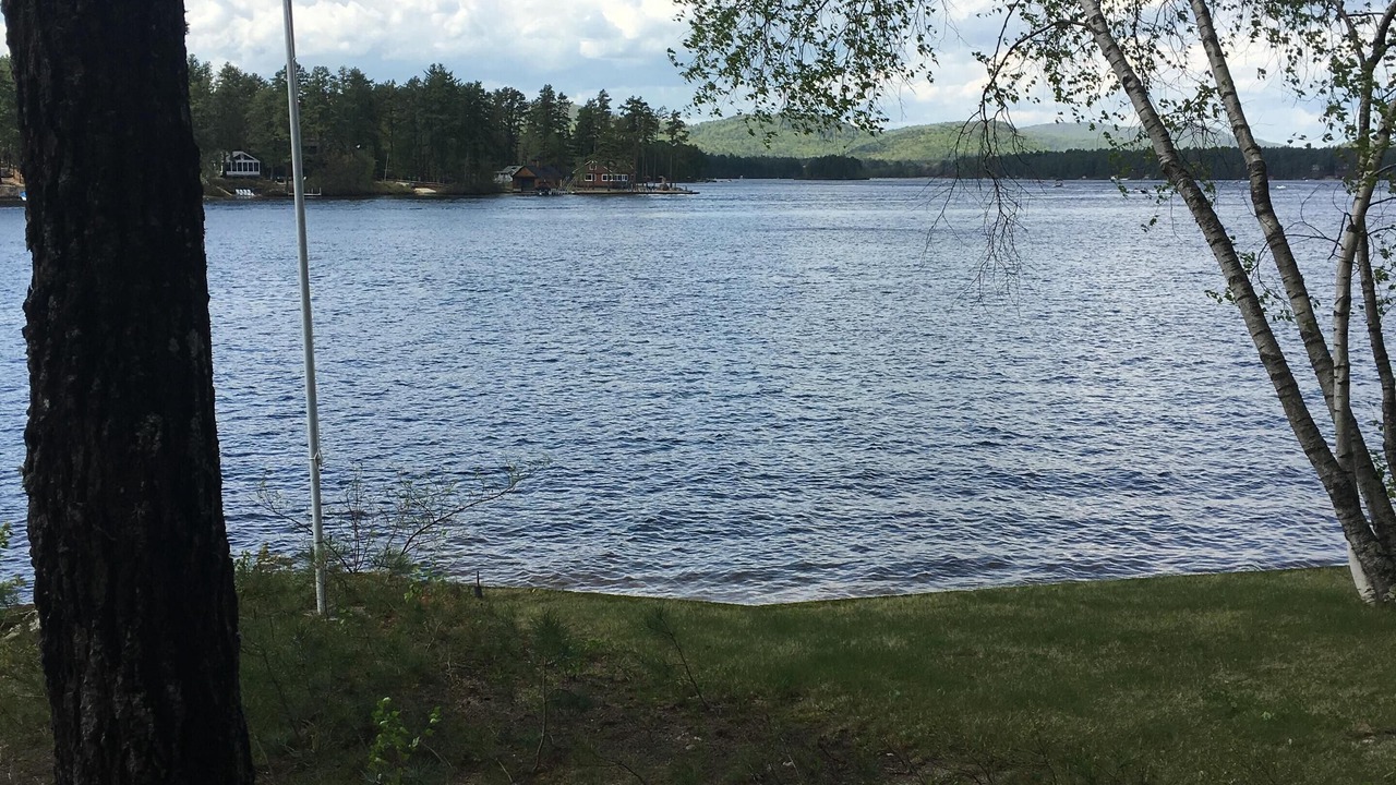 Photo of Others in The Bays