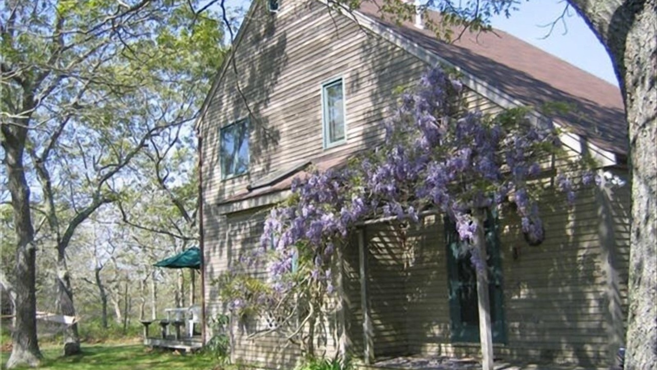 Photo of Others in West Tisbury