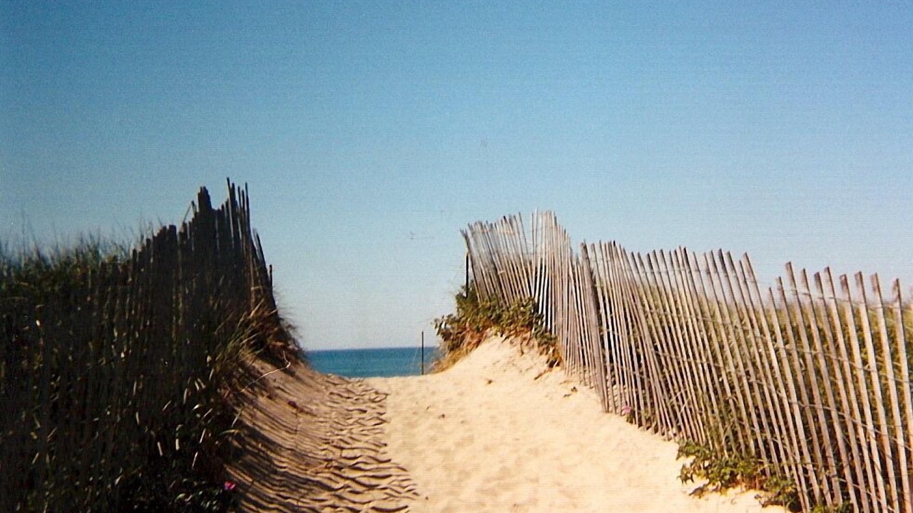 Photo of Others in West Tisbury