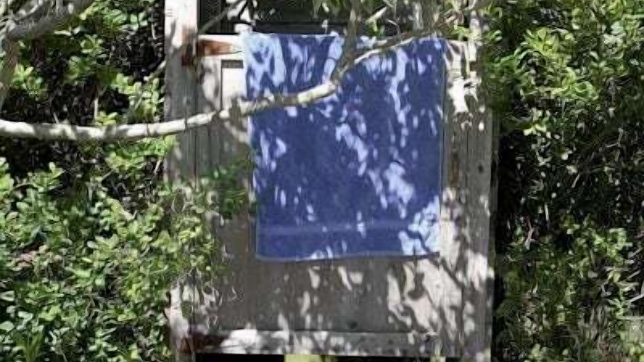 Photo of Outdoor in North Truro