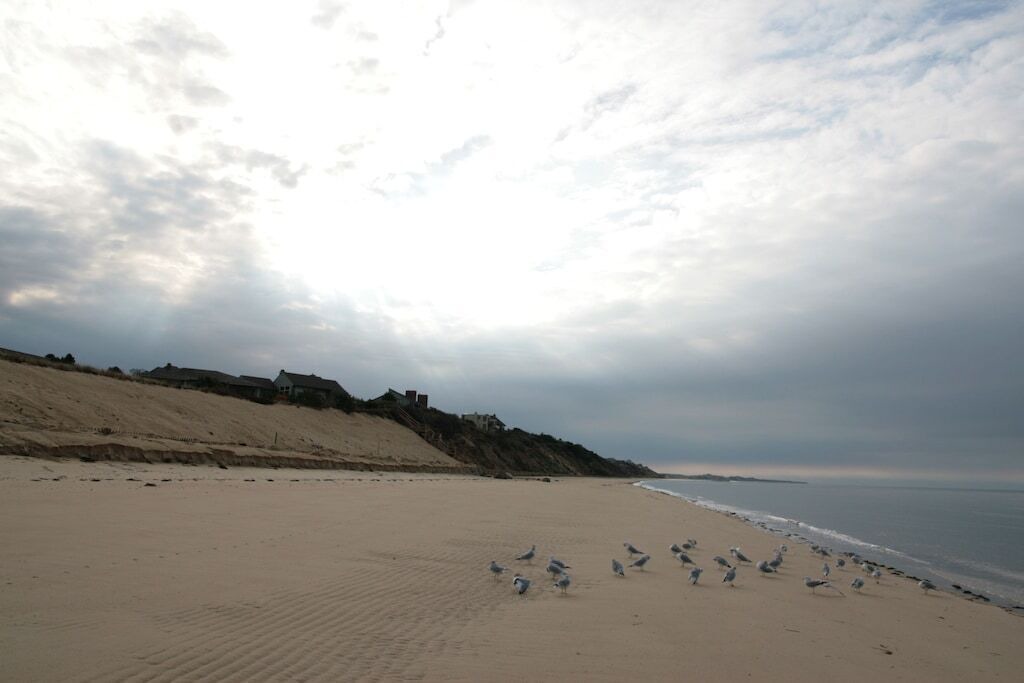 Photo of Others in North Truro