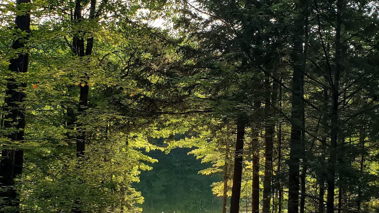 Photo of Outdoor in Denmark