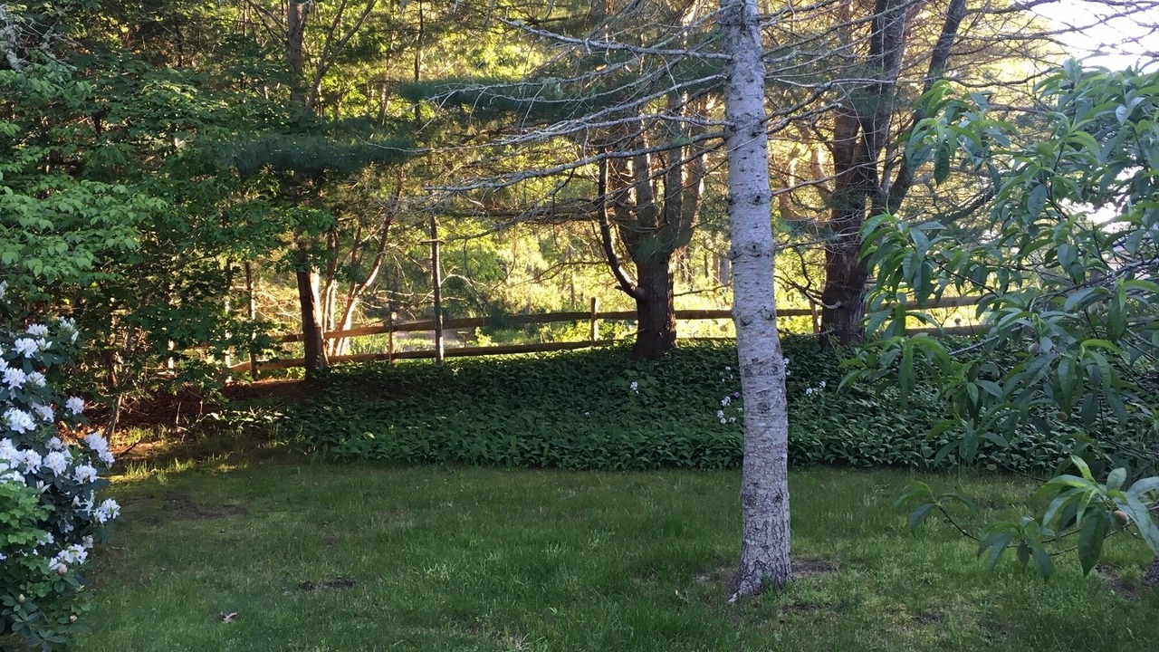 Photo of Others in West Dennis
