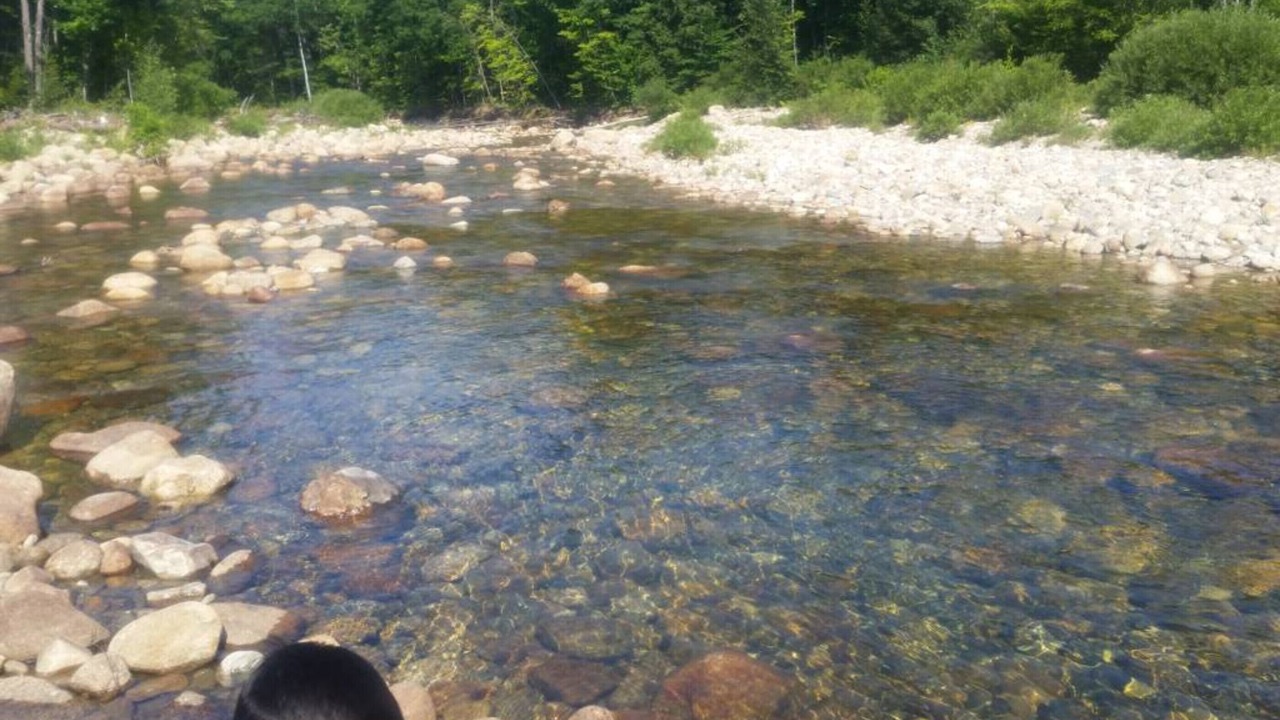 Photo of Others in Intervale