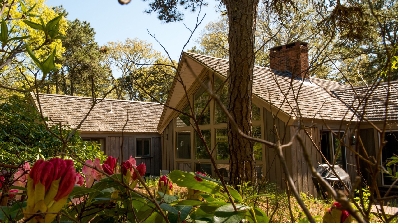 Photo of Outdoor in South Orleans