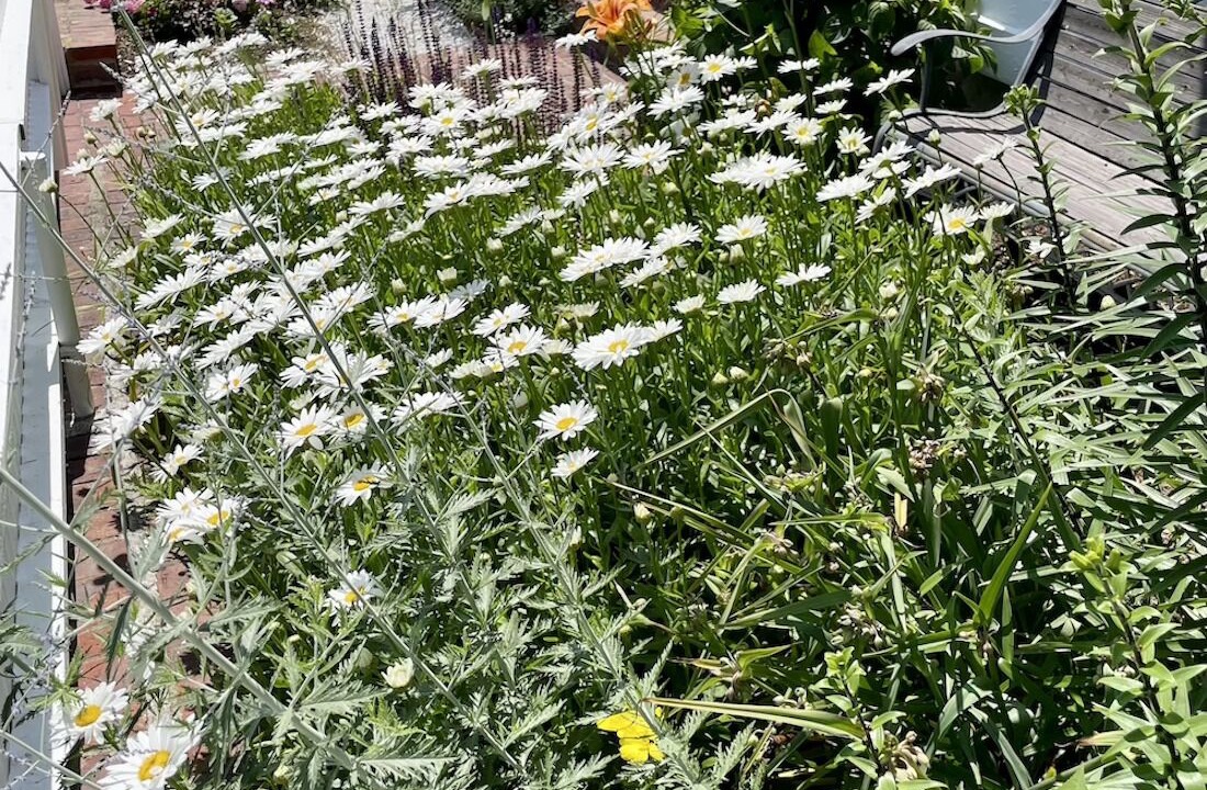 Photo of Outdoor in Provincetown