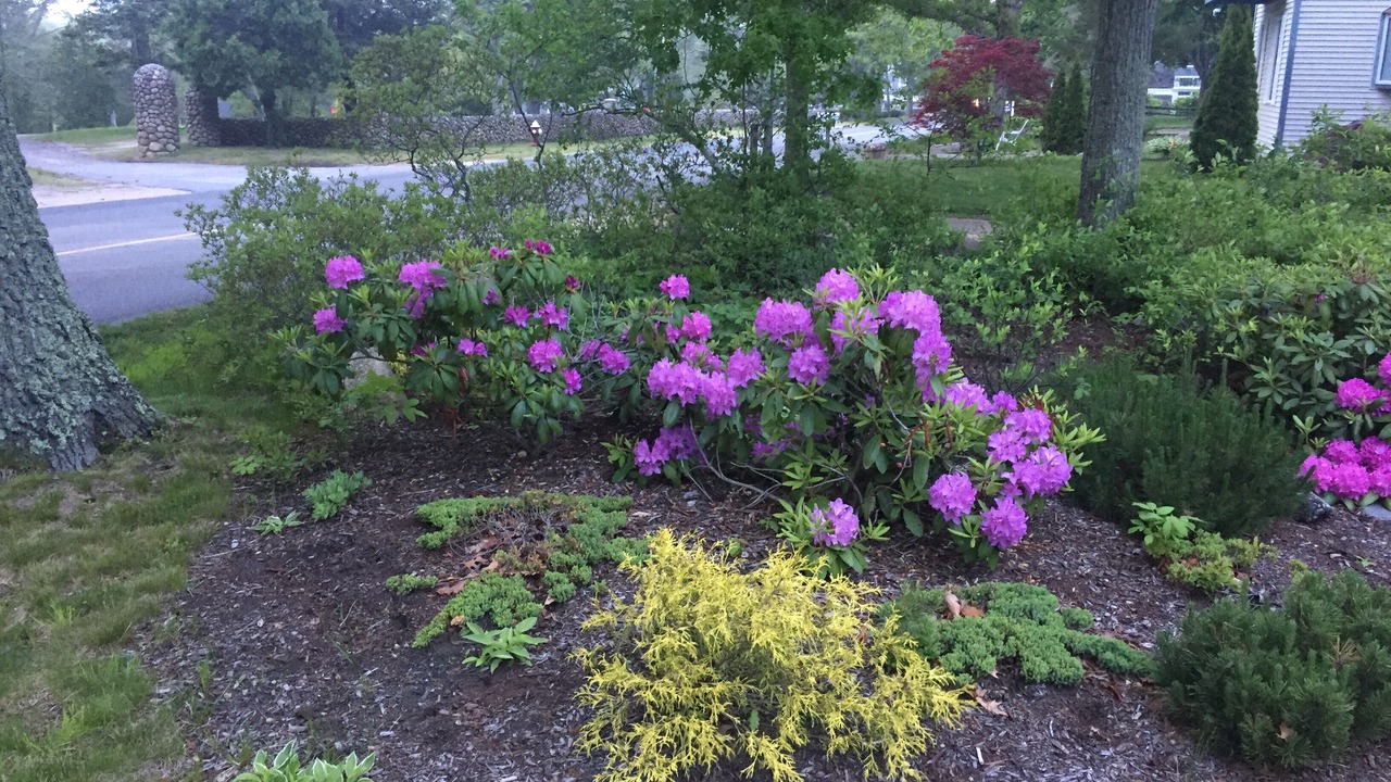 Photo of Outdoor in Tisbury