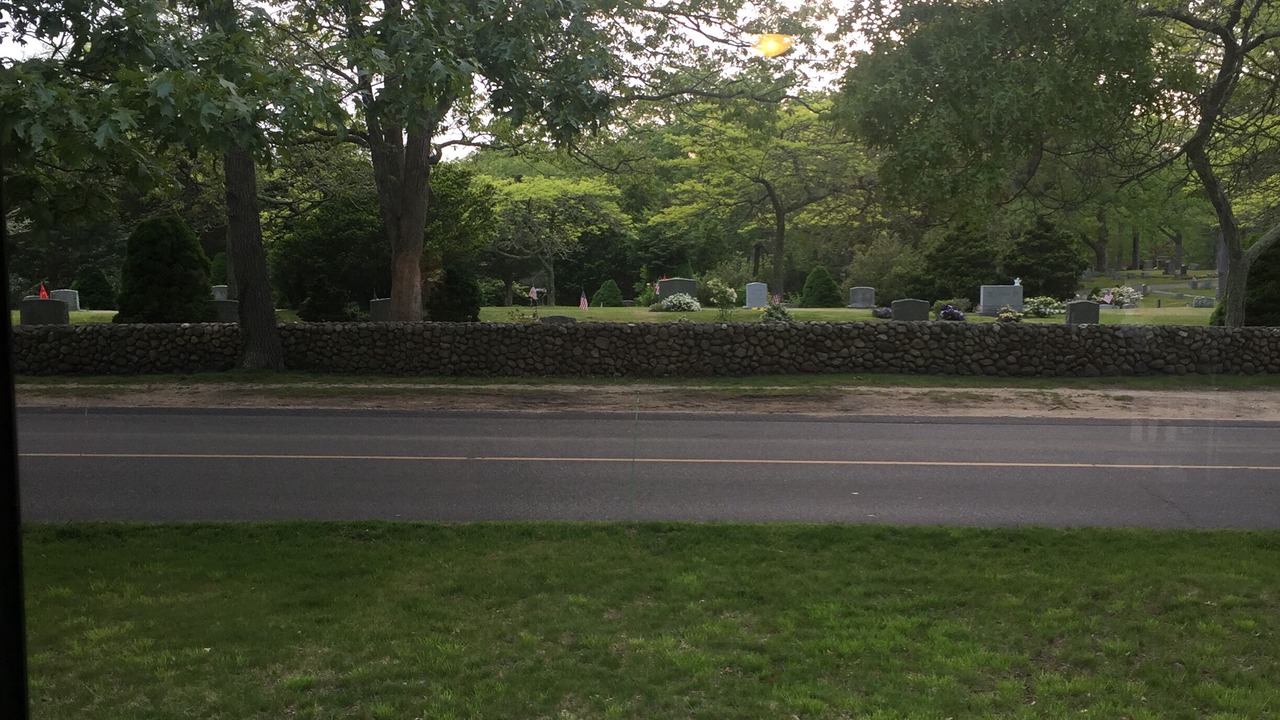 Photo of Others in Tisbury
