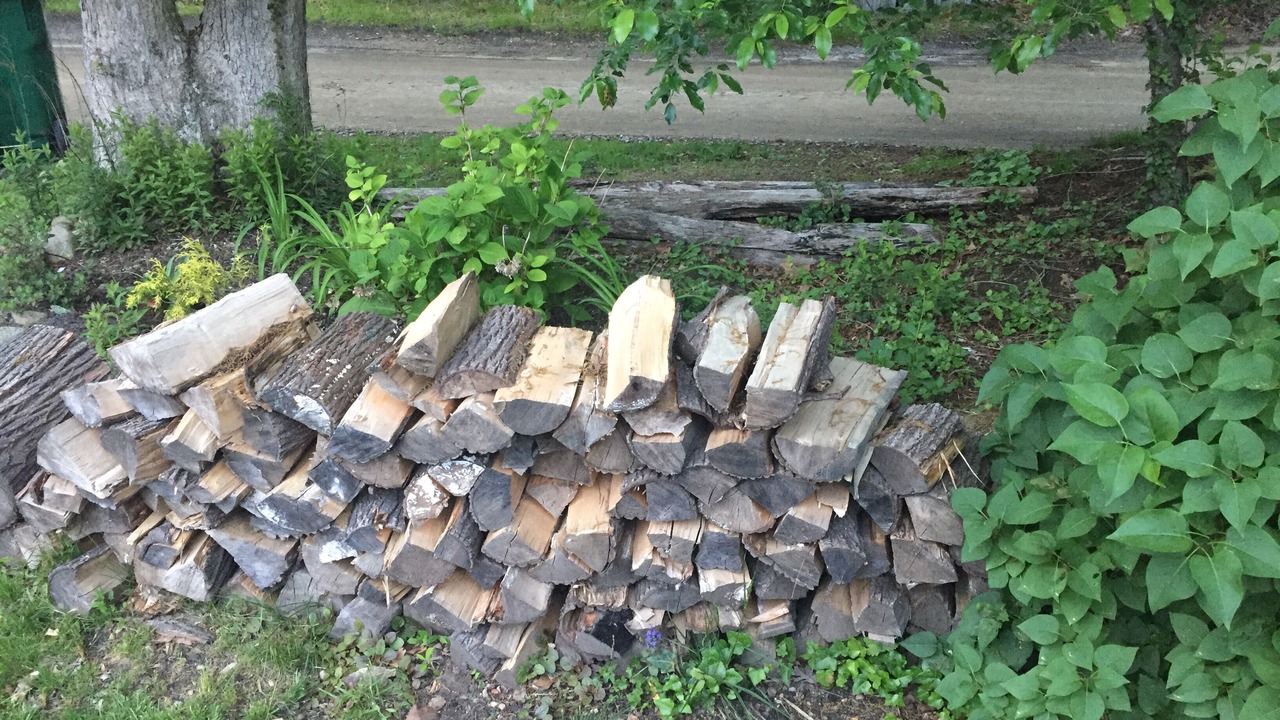 Photo of Outdoor in Tisbury