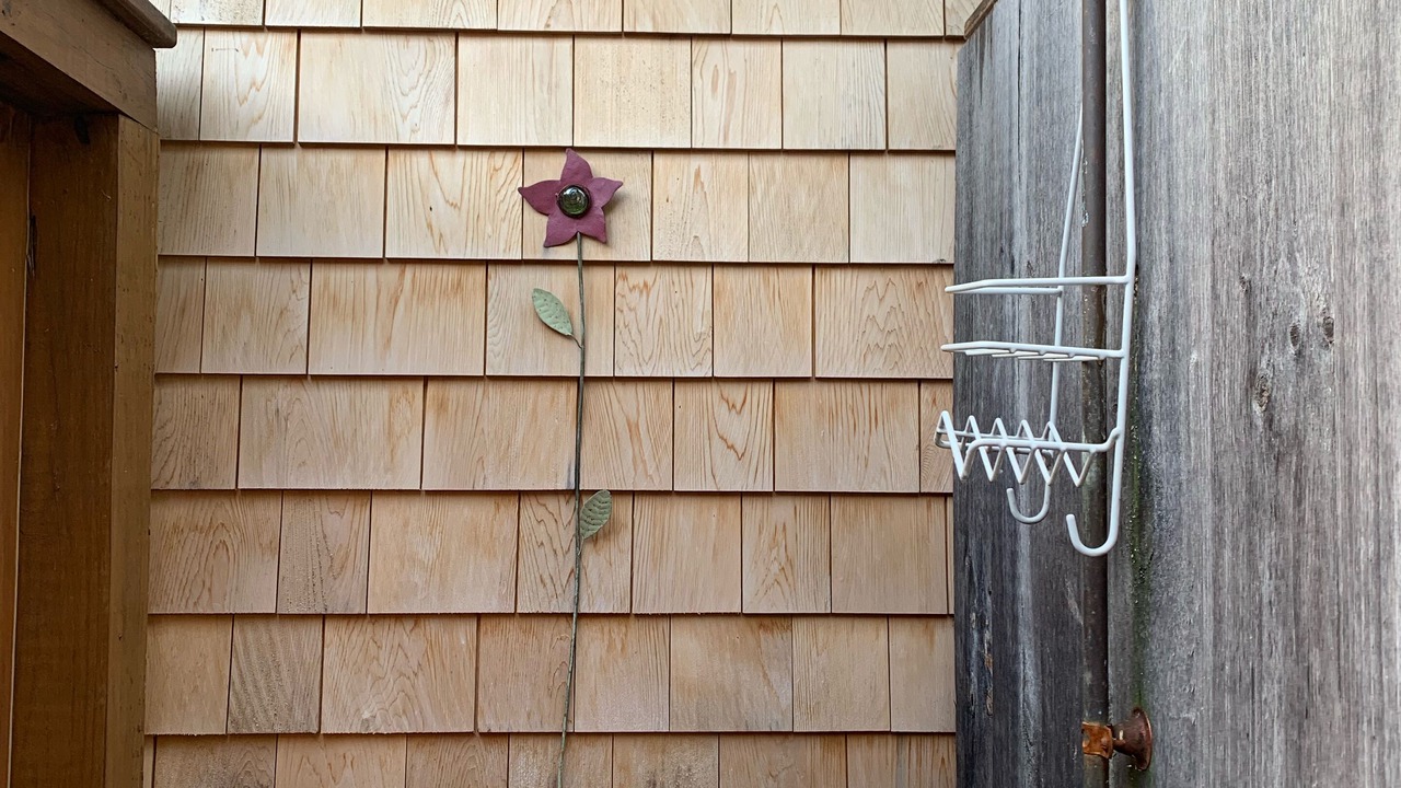 Photo of Outdoor in Tisbury