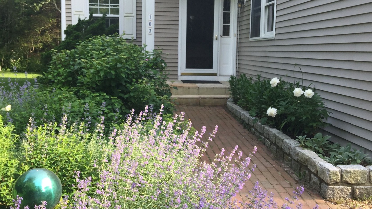 Photo of Outdoor in East Hampton North