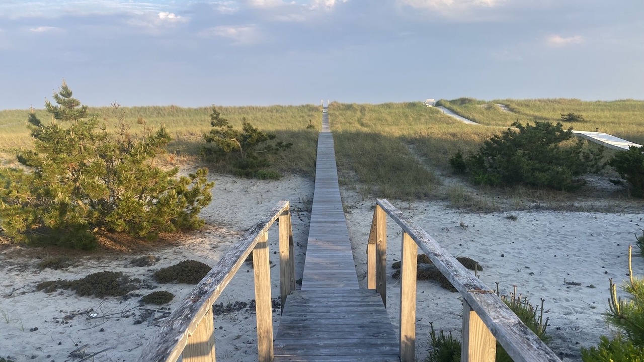 Photo of Outdoor in Westhampton Beach