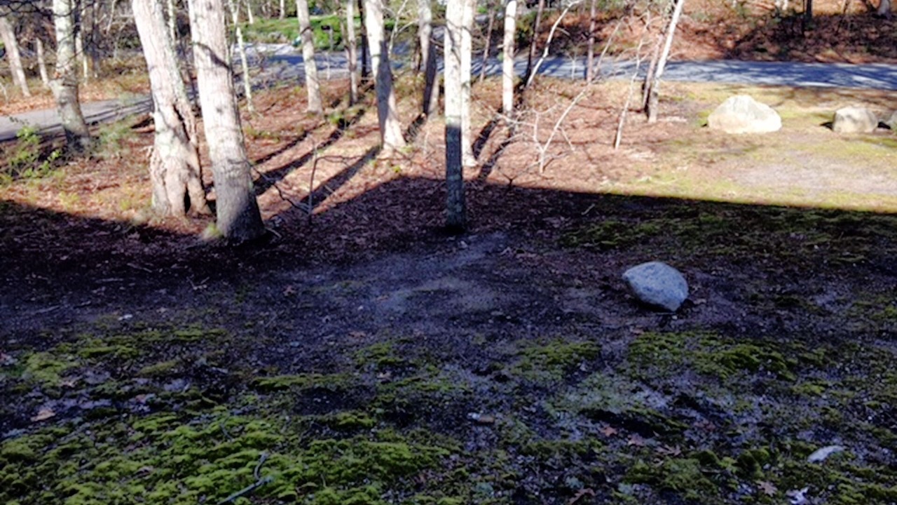 Photo of Others in Brewster