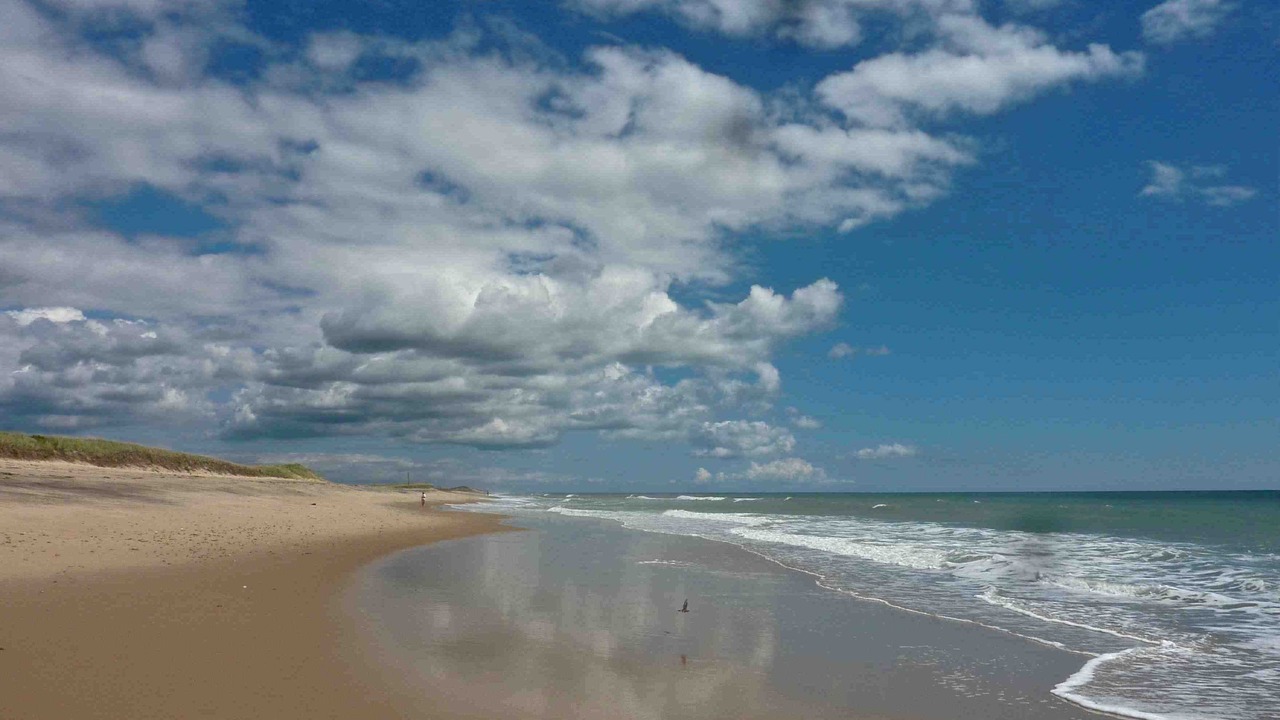 Photo of Others in Chilmark