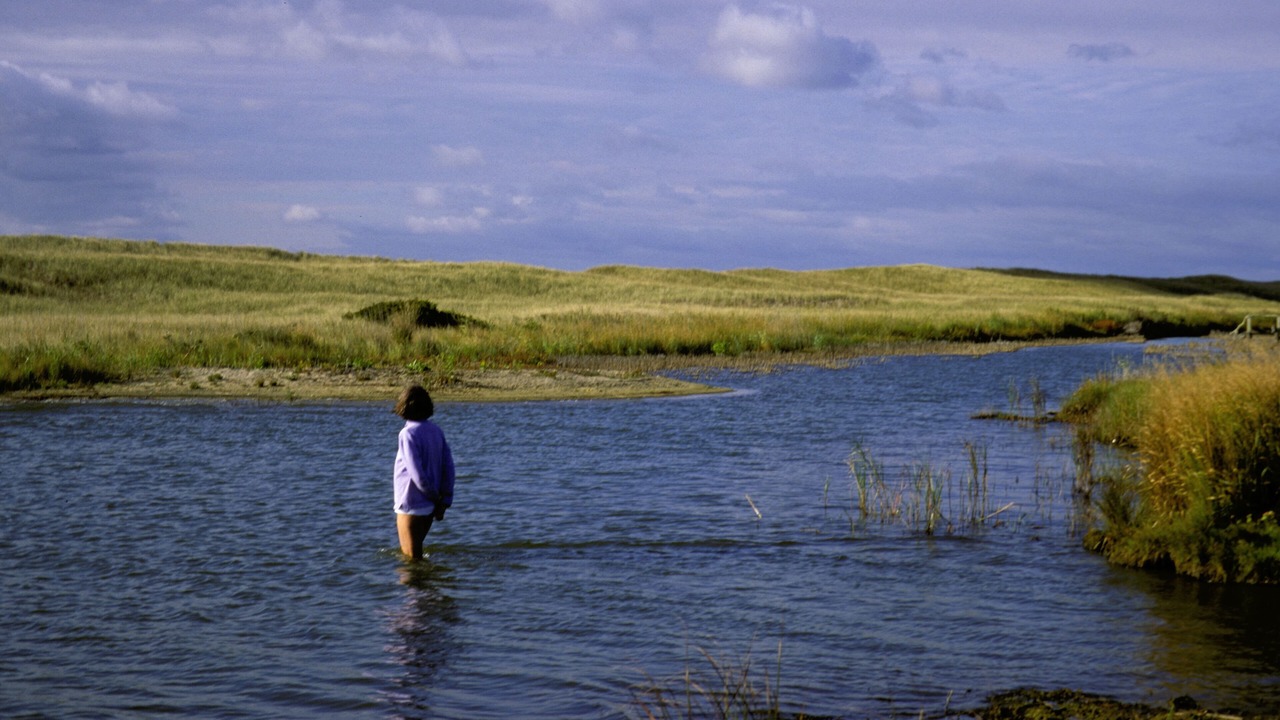 Photo of Others in Chilmark